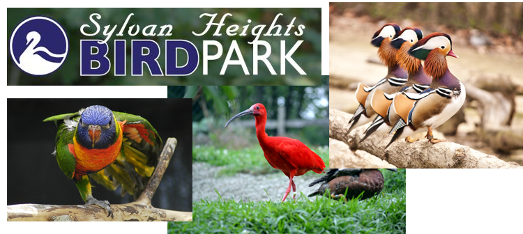 Scotland Neck Sylvan Heights Bird Park 